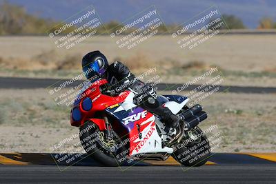 media/Feb-04-2023-SoCal Trackdays (Sat) [[8a776bf2c3]]/Turn 4 (Tree of Life 2pm)/